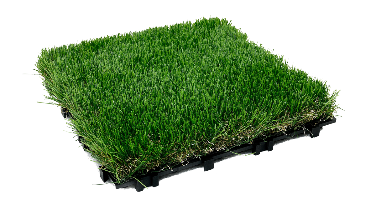 qd-grass-1s